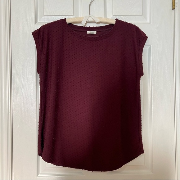 Aritzia Wilfred Burgundy Short Cap Sleeve Textured Blouse Open Cross Back - Sz L - Picture 2 of 16